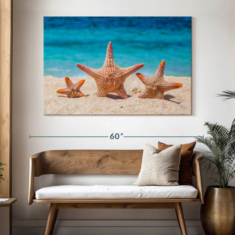 Starfish trio Aletra, H 34 po x l 51 po