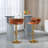 Ginko Modern Swivel Bar Stool with Backrest, Adjustable Height Kitchen Island Stool with Upholstered Seat and Footrest,-93498215-90489199