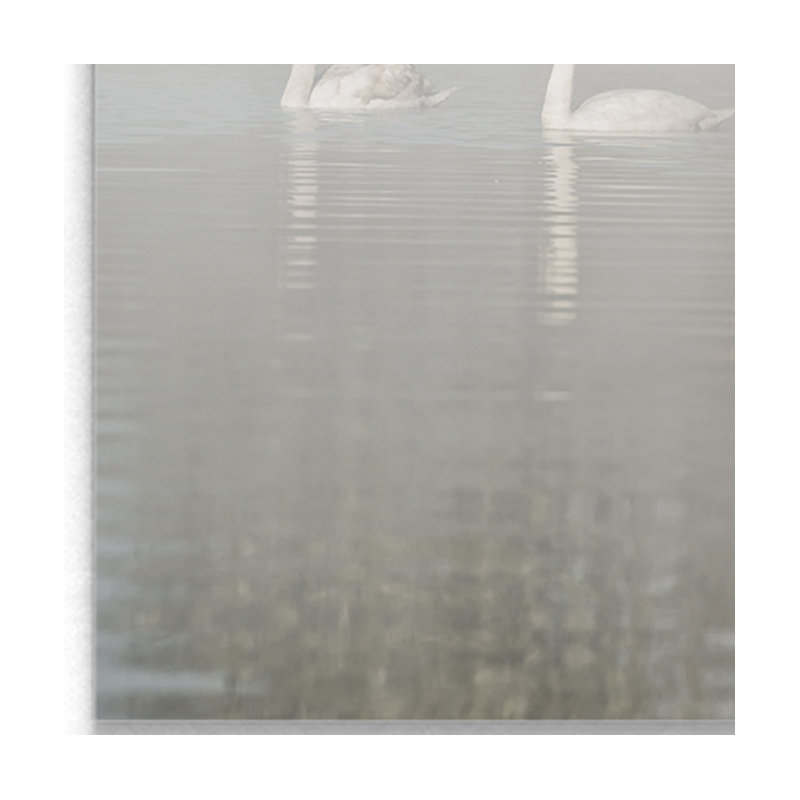 Sept cygnes - reproduction sur toile, H 24 po x l 36 po x P 1,5 po