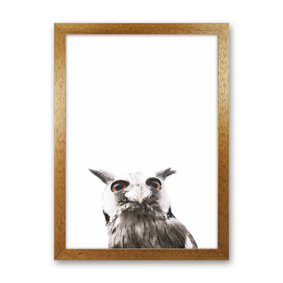 Lil Owl by Victoria Frost - Print
