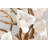 Lily 6 Light Chandelier