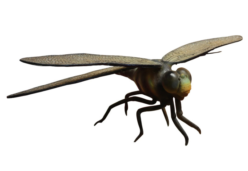Brieah Dragonfly Insect Over Sized Statue