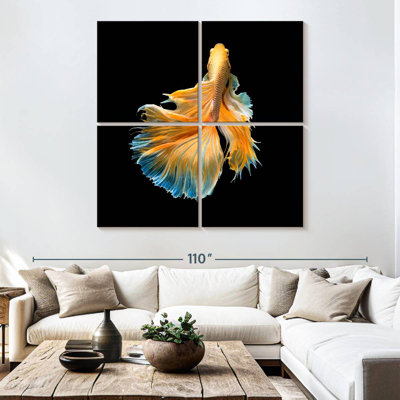 Brami poisson de chasse jaune grandiose