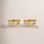 Small Clear Elevated Feeder with Gold Bowls