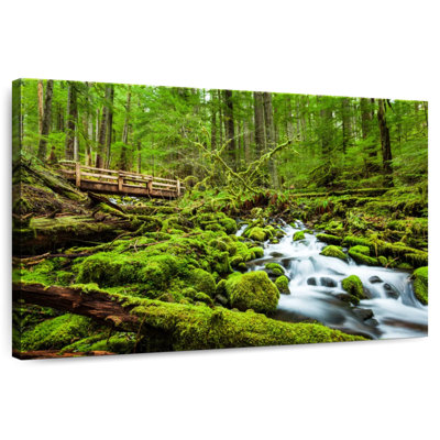 Alvord Cascading Sol Duc Falls