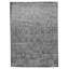 Oriental Area Rug in Gray