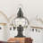 Aster Transparent Lantern Head-1309213532