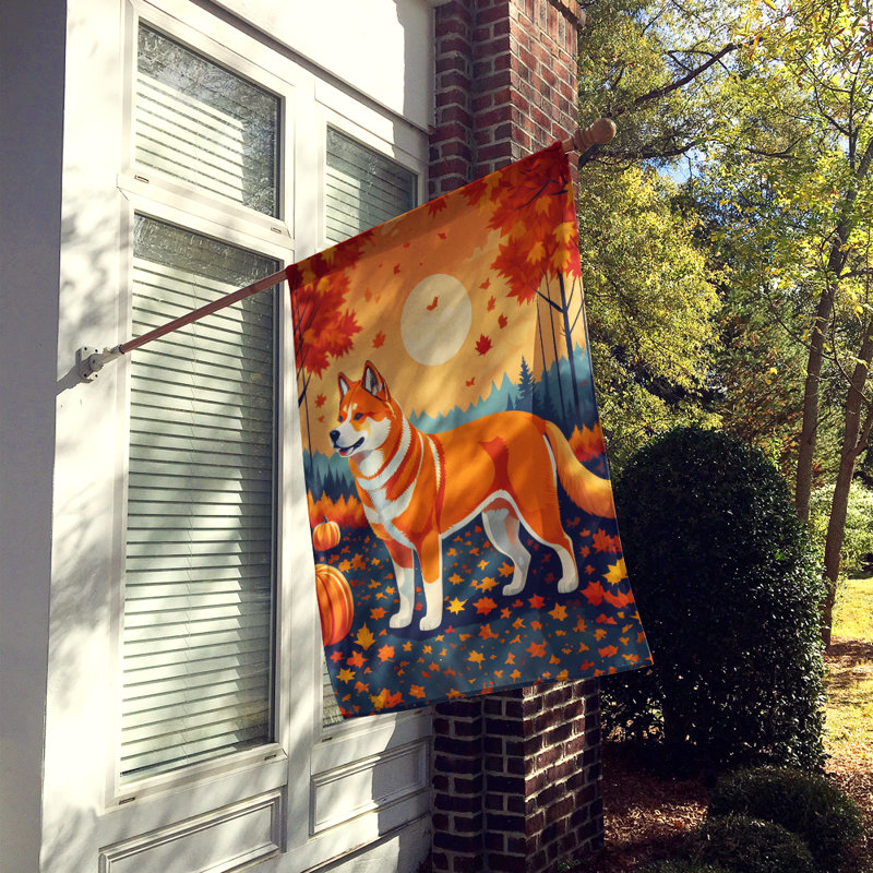 Drapeau de maison en polyester à double face H 40 po x l 28 po