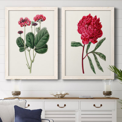 Toile encadrée rosée Blooms II