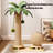 Coconut Cat Tree for Indoor Cats, Thickened Bottom
