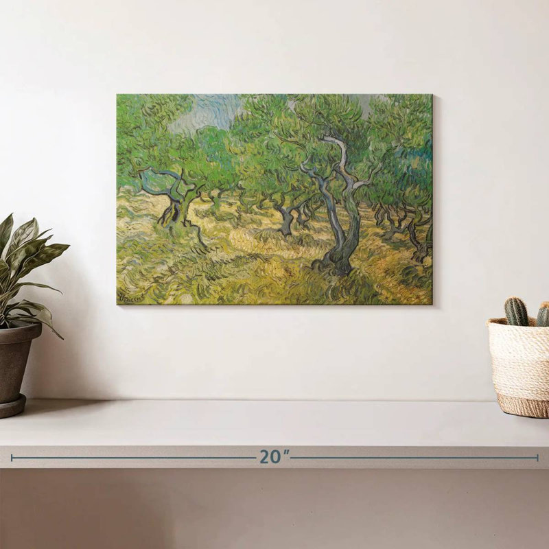 Harnek Olive Grove, H 8 po x l 12 po