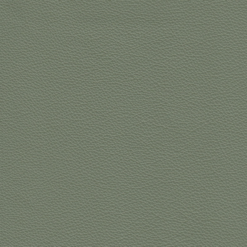 Copola 63" Genuine Leather Rolled Arm Loveseat, Green Genuine Leather