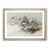 Oak Framed selected