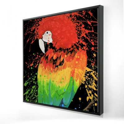 «Rainbow Parrot»