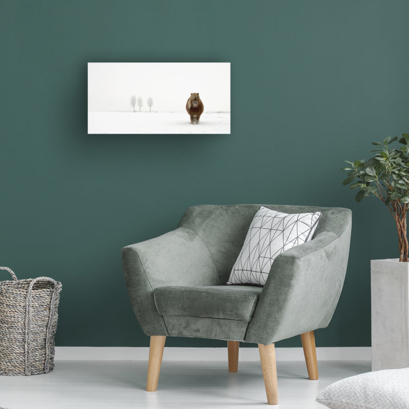 Art mural sur toile tendue - «The Cold Pony» de Gert Van Den pour décoration de salon, de chambre à coucher ou de bureau - 24 x 47