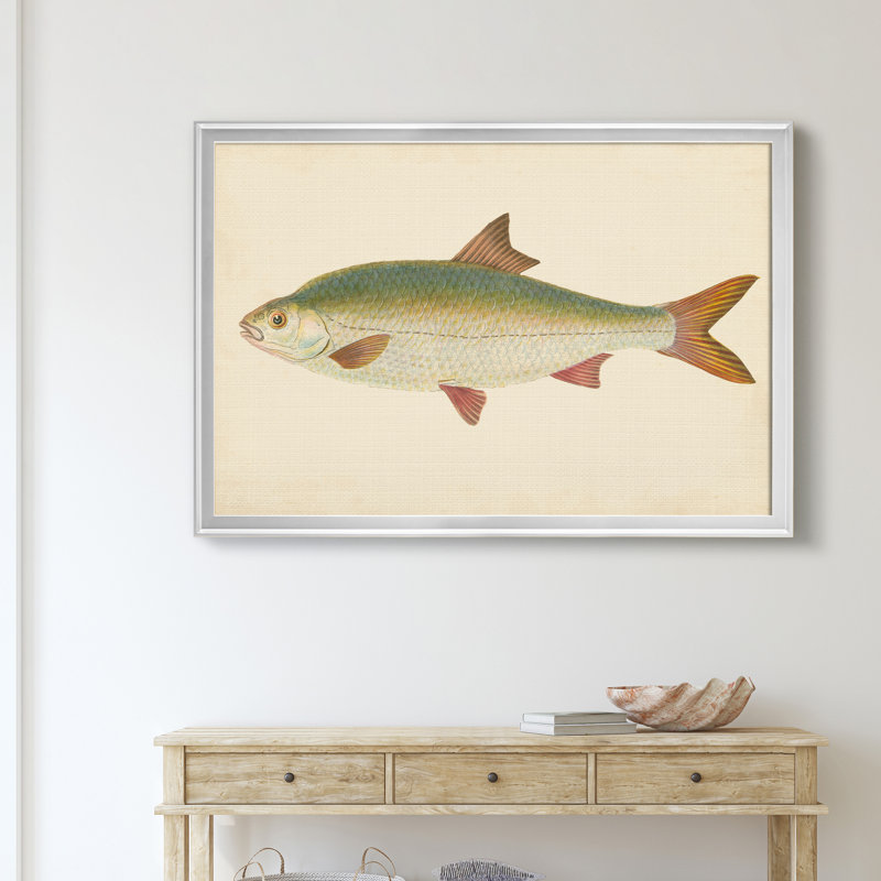 " Donovan Antique Fish II ", 18.5" H x 24.5" W x 1.5" D, Silver