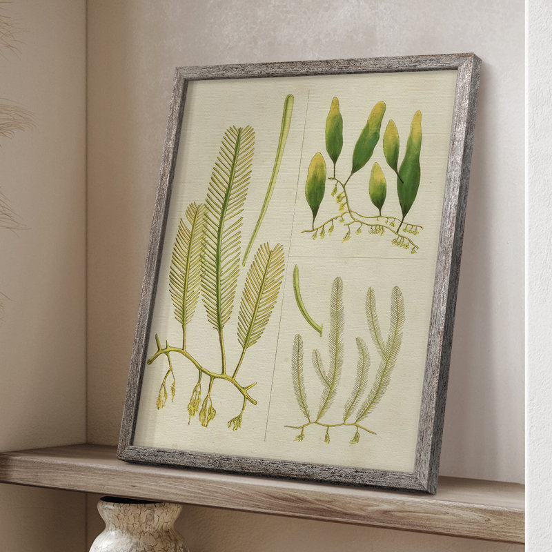 «Vintage Sea Grass I», reproduction encadrée - bois massif, H 11 po x l 9 po