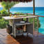 Chariot de cuisine pliable pour l'extérieur avec deux plateaux de table et rangement pour barbecue et patio-125396960