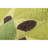 Cucina Floral Synthetic Kitchen Mat