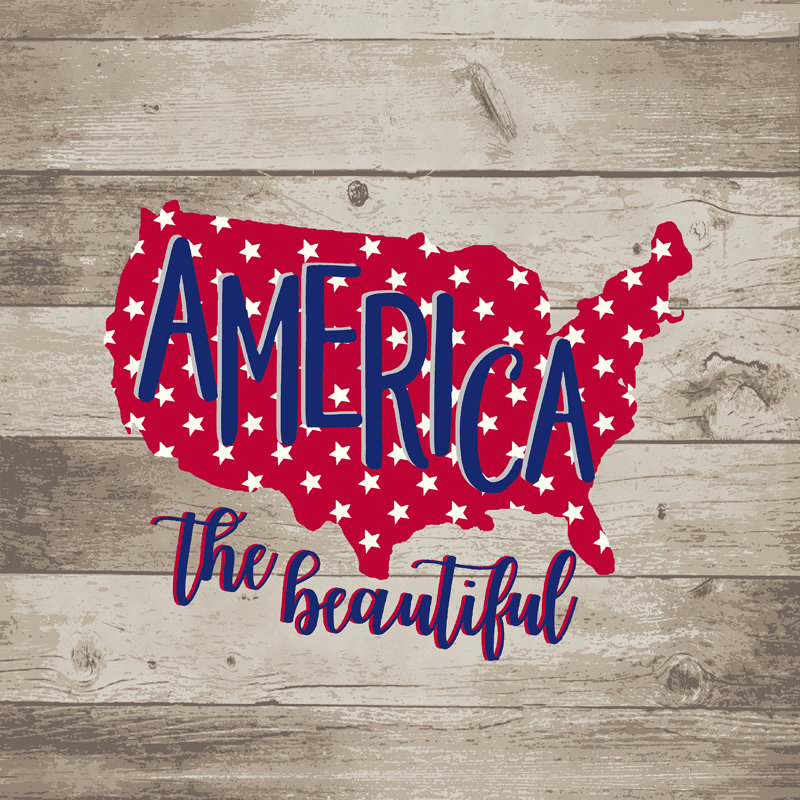 18" x 18" Outdoor Throw Pillow with Welt, America Beautiful Wood