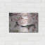 Art mural en métal luxueux «Soft Pink Ranunculus» par Susan Ball, 36 po x 24 po-101684476