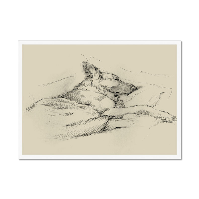 Dog Days IV by Ethan Harper - Print, 34cm H x 50cm W, White Framed Paper Print