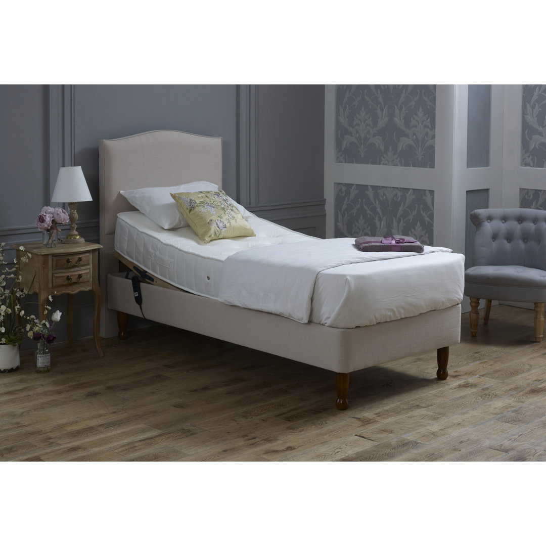 Zeitz 58cm Adjustable Bed with Mattresses