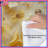 Golden Paper Flowers Comforter-126684951