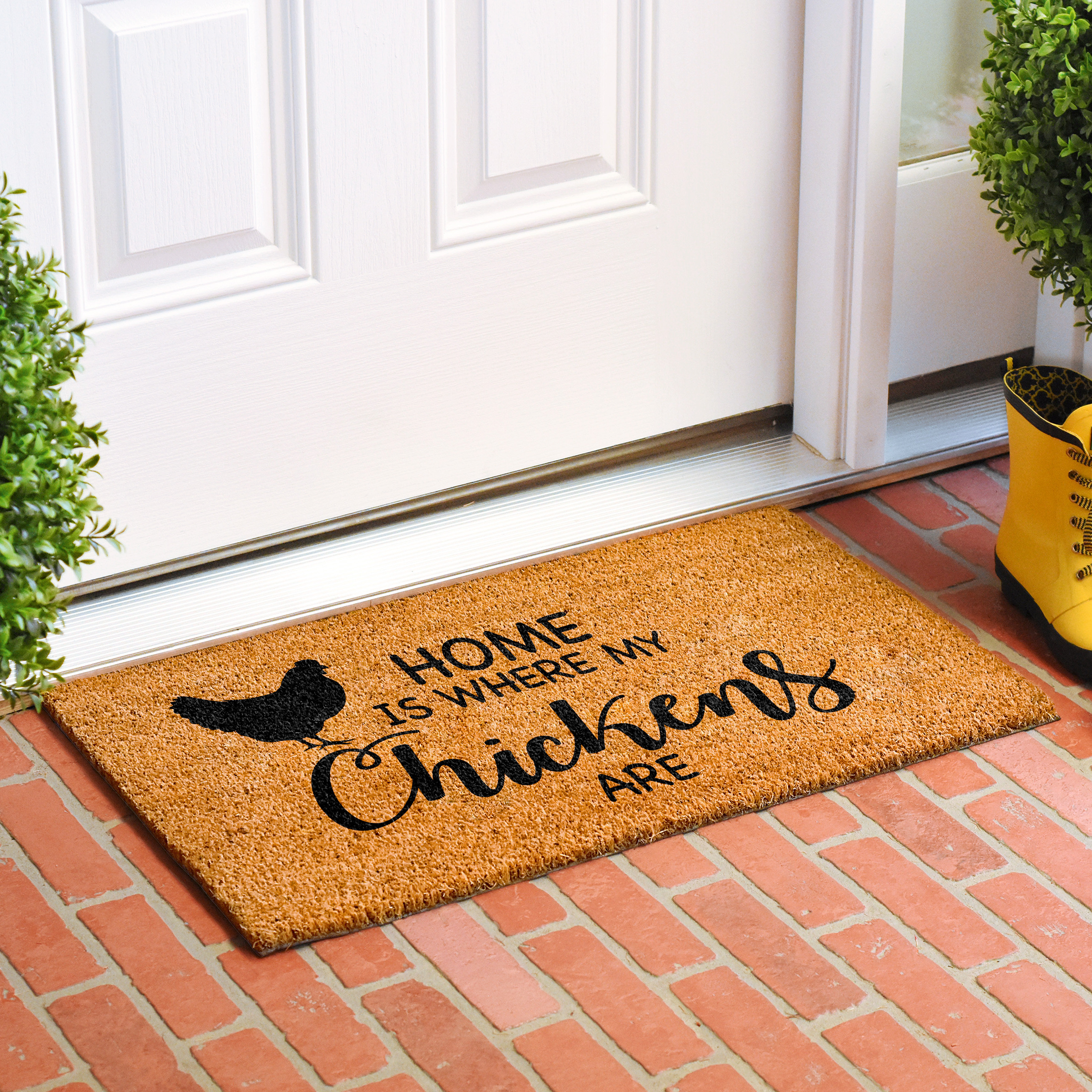 Trinx Ebrar Non-Slip Outdoor Doormat