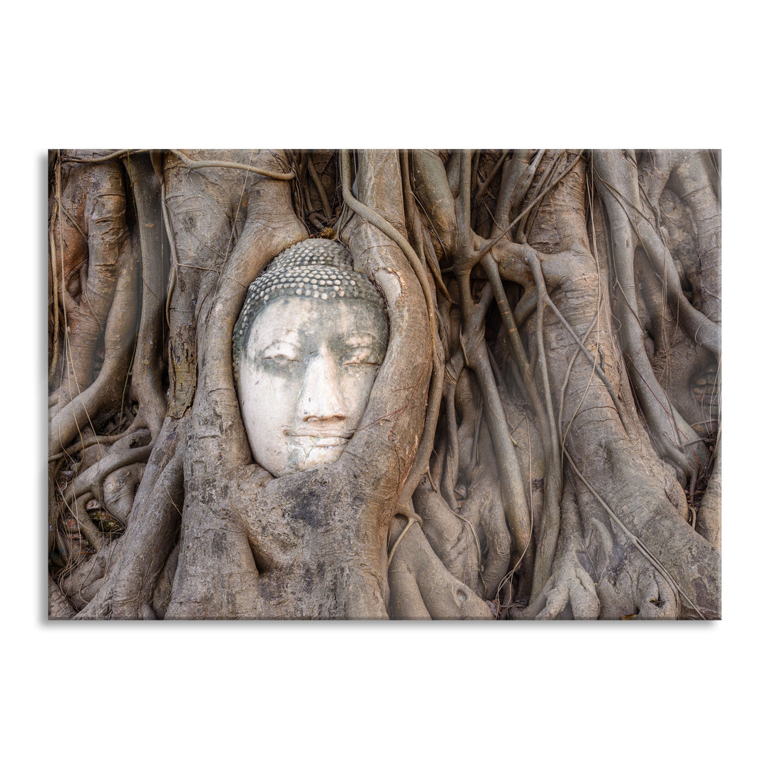 Glasbild | Wandbild Auf Echtglas | Buddha Kopf Im Baum LFs2414