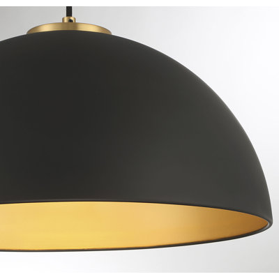 Darrah 1-Light Pendant in Matte Black/Natural Brass