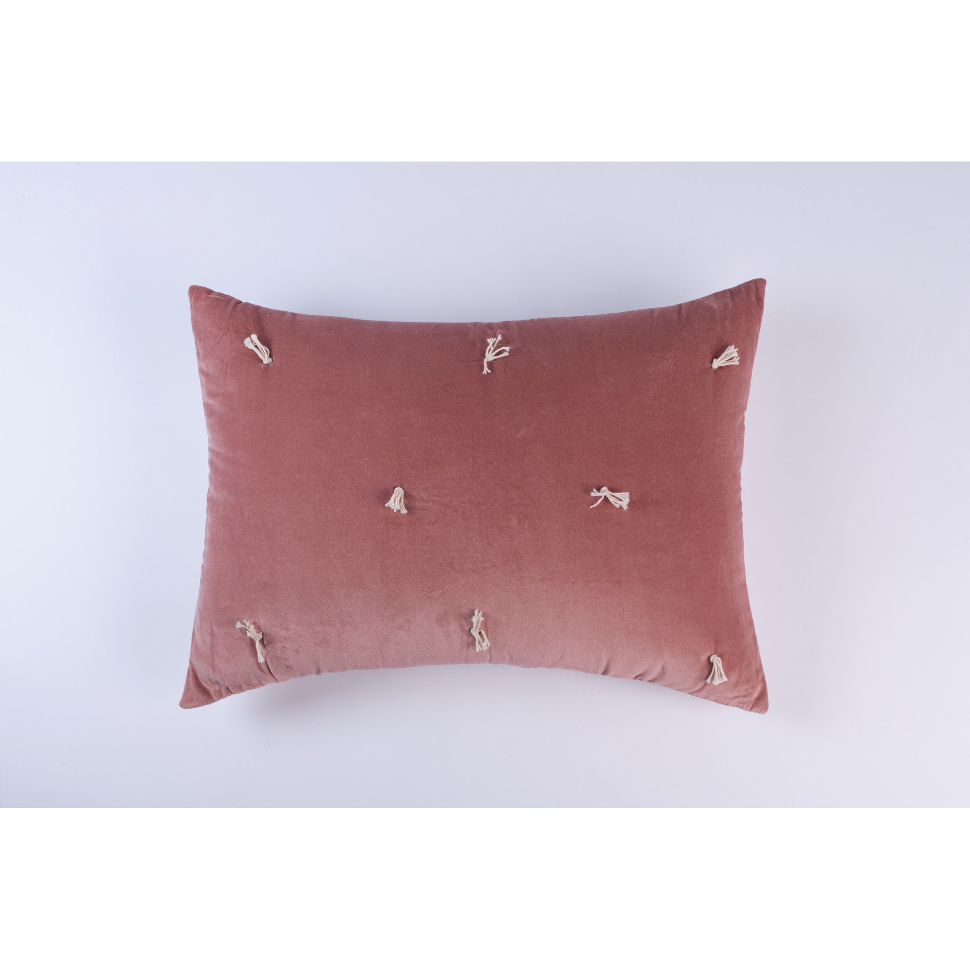 Geoff Cotton Pillow Sham, Standard/Twin, Blush