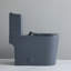 Toilette grise à une pièce à chasse double siphon KDK Home