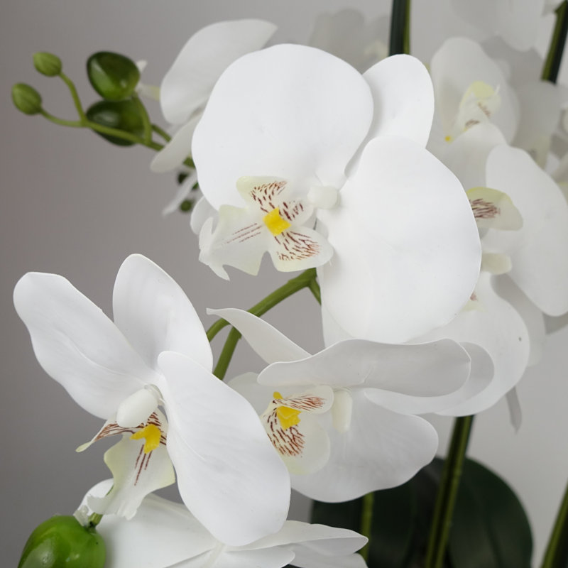 Plastic, Silk Artificial Arrangement in Planter, Black, White