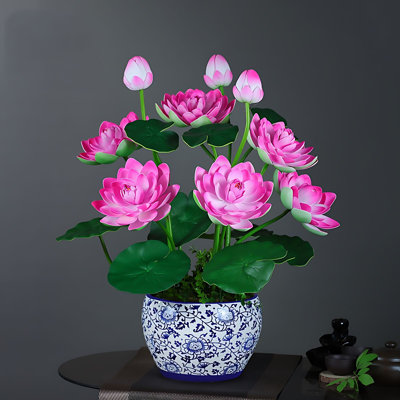 Ranunculus Arrangement in Pot
