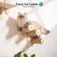 Ruthie 30cm H Cat Tree