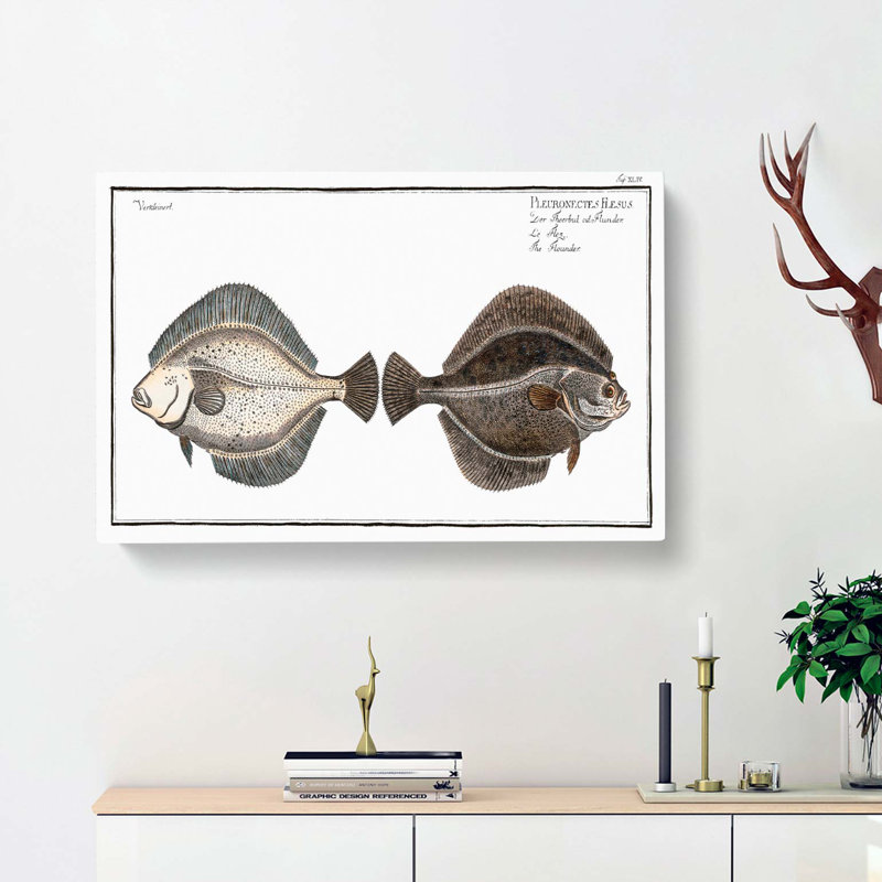 Flounder Fish by M.E. Bloch - Wrapped Canvas, 35cm H x 50cm W x 3cm D