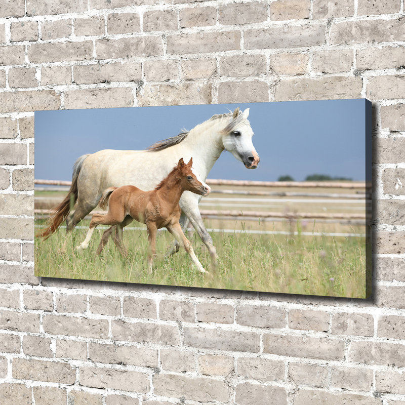 Mare With Foal - Wrapped Canvas Print