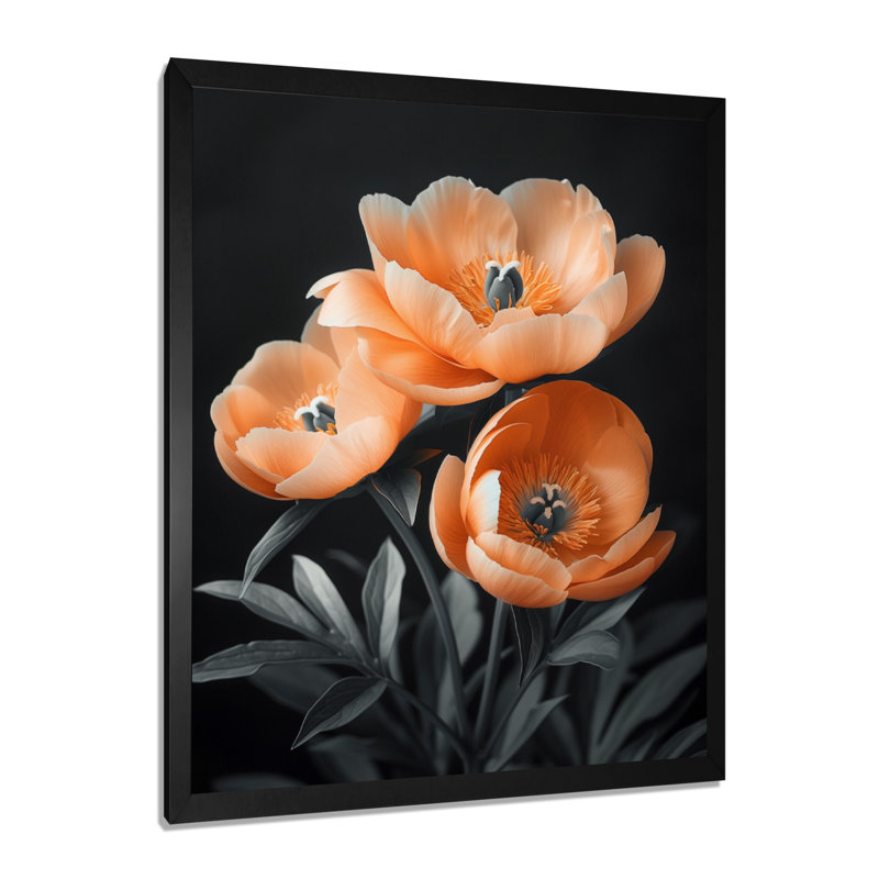 Verre, rendez-vous romantique de pivoines orange - pivoines, H 12 po x l 20 po, Cadre noir