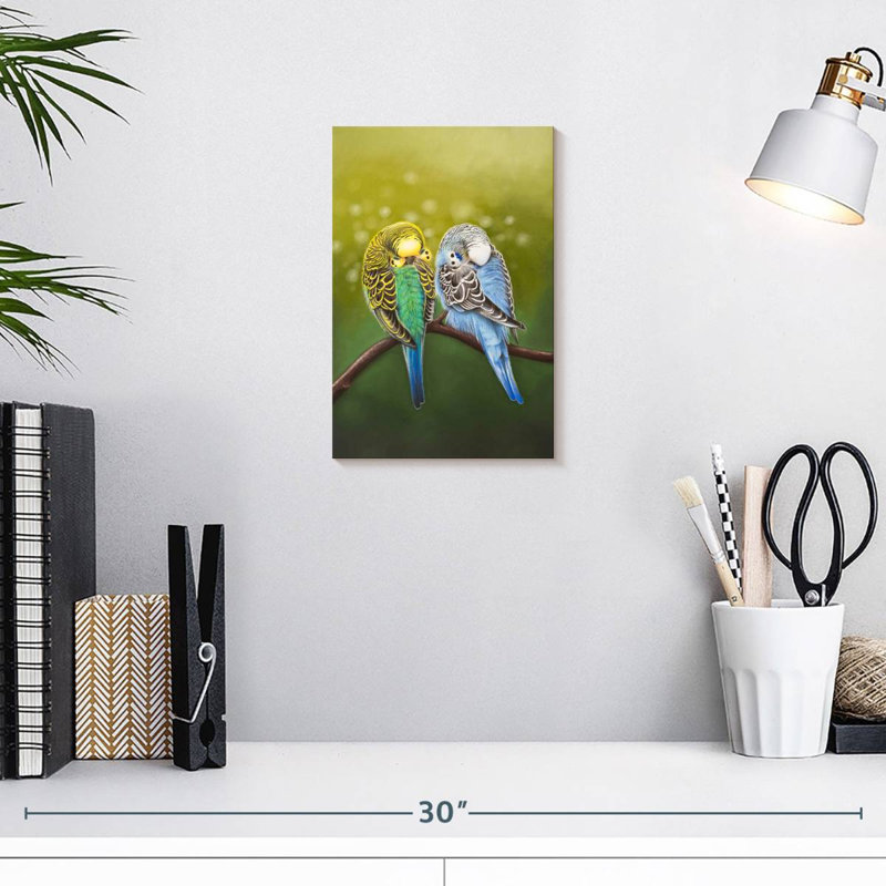 Budgie Siesta, H 12 po x l 8 po