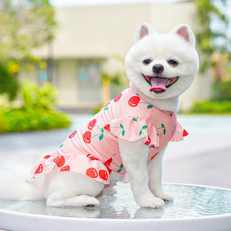 Acrylique robe de soirée en soie pour chien, E