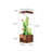 19.69"Vertical MediumSized Clear Glass Ecological Fish Tank-319787525