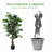 48'' Faux Ficus Tree in Pot