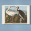 Impression sur toile tendue « pl 222 White »-146864493