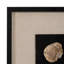 Décoration murale Aldora 16X47 Jensen Petrified