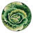Washable Chinese Cabbage Napa Vegetables Area Rug-316582212
