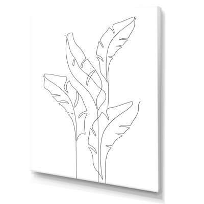 " Abstract One Line Of Banana Leaves On White "