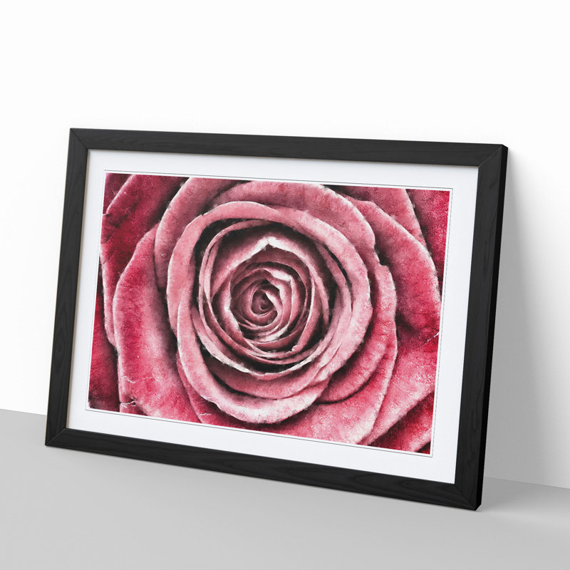 Pink Rose Flower Vol.2 - Framed Print, 36cm H x 48cm W x 2cm D, Black Framed
