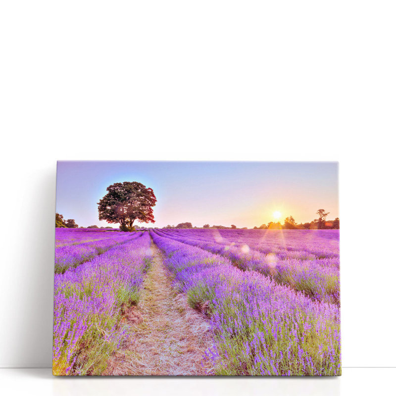 «Lavender Field At Sunset», reproduction d'art sur toile, H 18 po x l 24 po