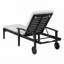 Outdoor Chaise Lounge-731196543-731196536